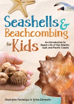 Bertrand.pt - Seashells & Beachcombing For Kids