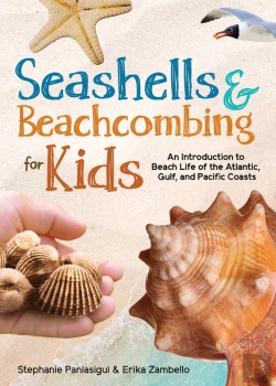 Bertrand.pt - Seashells & Beachcombing For Kids