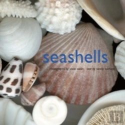 Bertrand.pt - Seashells