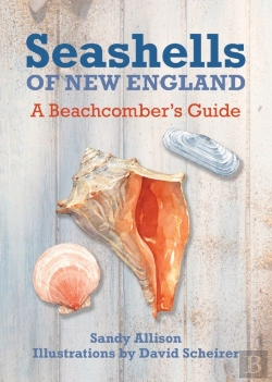 Bertrand.pt - Seashells Of New England