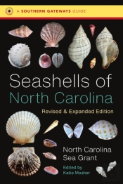 Seashells Of North Carolina