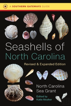 Bertrand.pt - Seashells Of North Carolina