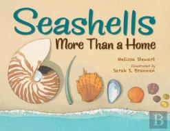 Seashells