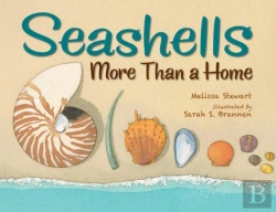 Bertrand.pt - Seashells