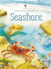 Seashore