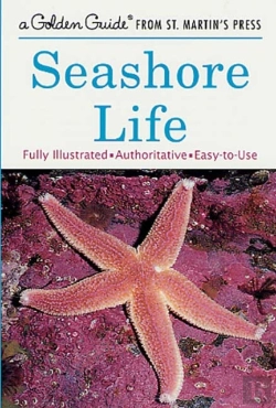Bertrand.pt - Seashore Life