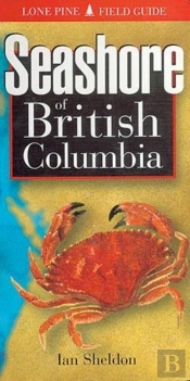 Seashore Of British Columbia