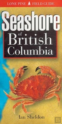 Bertrand.pt - Seashore Of British Columbia