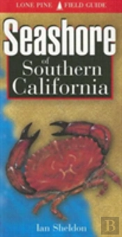 Seashore Of Southern California