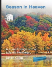 Season In Heaven: Autumn Foliage Of The