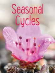 Seasonal Cycles