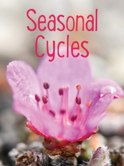 Bertrand.pt - Seasonal Cycles