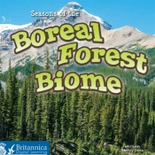 Seasons Of The Boreal Forest Biome