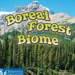 Bertrand.pt - Seasons Of The Boreal Forest Biome