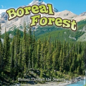 Seasons Of The Boreal Forest Biome