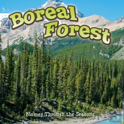 Bertrand.pt - Seasons Of The Boreal Forest Biome