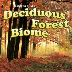 Bertrand.pt - Seasons Of The Deciduous Forest Biome