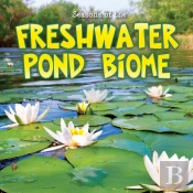 Seasons Of The Freshwater Pond Biome