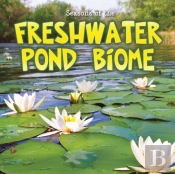 Seasons Of The Freshwater Pond Biome
