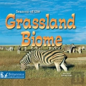 Seasons Of The Grassland Biome