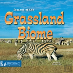 Bertrand.pt - Seasons Of The Grassland Biome