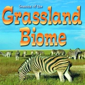 Seasons Of The Grassland Biome