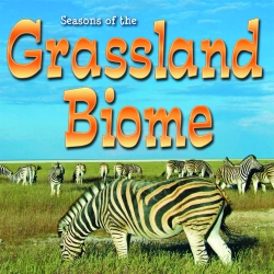 Bertrand.pt - Seasons Of The Grassland Biome