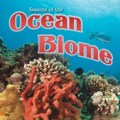 Seasons Of The Ocean Biome