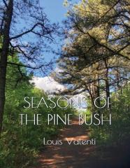 Seasons Of The Pine Bush