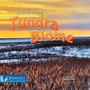 Seasons Of The Tundra Biome