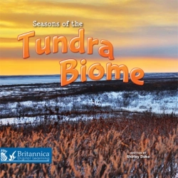 Bertrand.pt - Seasons Of The Tundra Biome