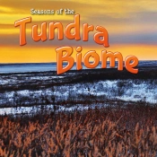 Seasons Of The Tundra Biome