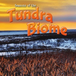 Bertrand.pt - Seasons Of The Tundra Biome