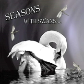 Seasons With Swans