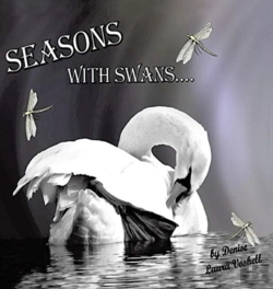 Bertrand.pt - Seasons With Swans