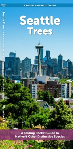 Bertrand.pt - Seattle Trees