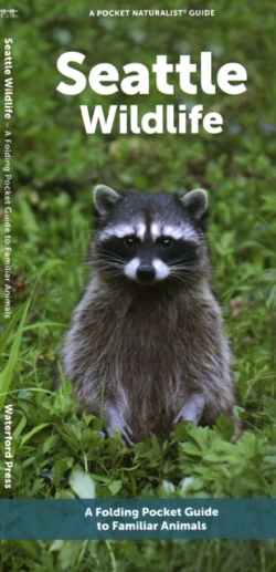 Bertrand.pt - Seattle Wildlife