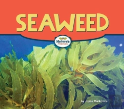 Bertrand.pt - Seaweed
