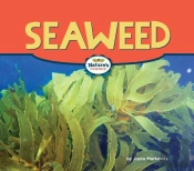 Seaweed