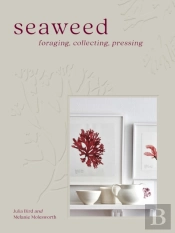 Seaweed