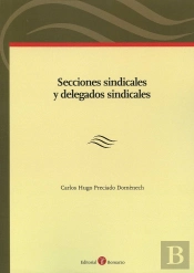 Secciones Sindicales Y Delegados Sindicales
