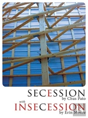 Secession/Insecession