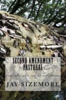 Second Amendment Pastoral