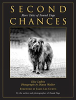 Second Chances