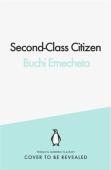 Second-Class Citizen