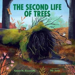 Bertrand.pt - Second Life Of Trees
