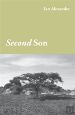 Bertrand.pt - Second Son