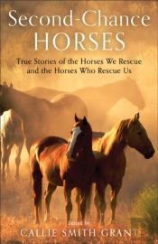 Secondâ€“Chance Horses Â€“ True Stories Of The Horses We Rescue And The Horses Who Rescue Us
