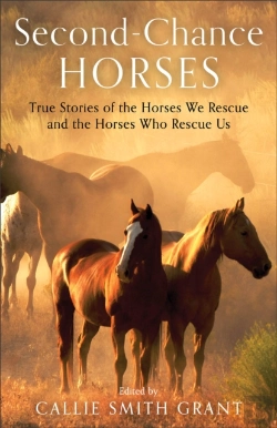 Bertrand.pt - Secondâ€“Chance Horses Â€“ True Stories Of The Horses We Rescue And The Horses Who Rescue Us