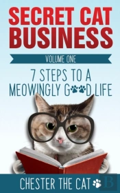 Secret Cat Business: 7 Steps To A Meowin